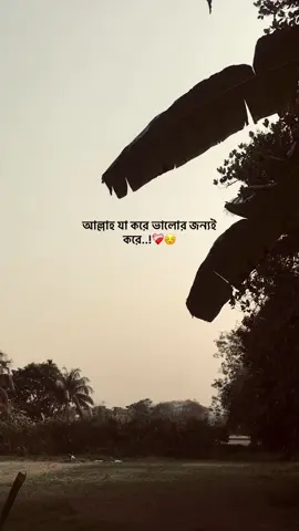 Hea..!❤️‍🩹😊#lovestetus #caption #brokenheart 