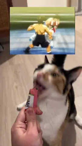 #hajimenoippo 