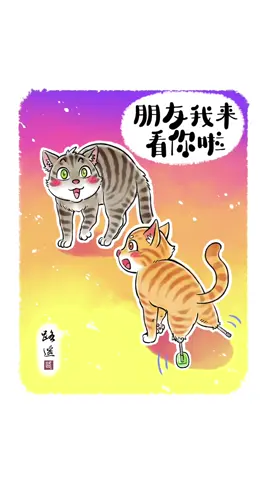 Chú mèo cam tên Hoàng Lãng bất ngờ mất đi hai chân. Sau khi được chủ nhân cứu giúp, chú được lắp bốn chiếc chân giả bằng hợp kim titan. Có người chủ yêu thương và những người bạn luôn nhớ đến, chú mèo thật may mắn. #meow #typ 