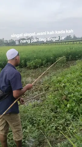 singal #katakatabanjar #storybanjar #banjarmasin #banjar #bahasabanjar #banjarpride #banjarpride🔥 #banjarpride💅🏻 #kalua #tanjung #tabalong #balangan #hulusungai #hst #hsu #hss 