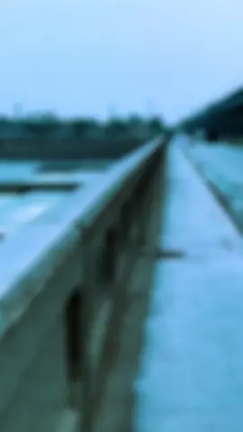 #سدة_الكوت #سدة_الكوت #سدة_الكوت #واضح_عليه_شوفت_النفس #قوالب_كاب_كات #تصميم_فيديوهات🎶🎤🎬 #الشعب_الصيني_ماله_حل😂😂 