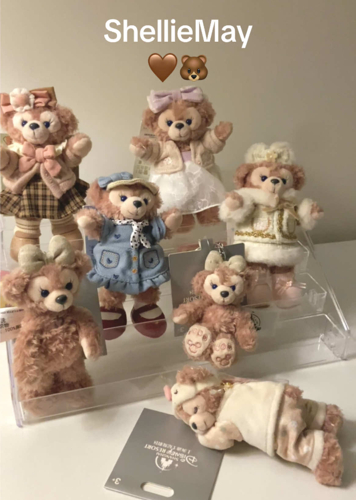 พร้อมส่งงับบบบ🤎#duffyandfriends #รับหิ้วเซี่ยงไฮ้ #shelliemay #ตลาดนัดซาริโอ้ #พวงกุญเเจน่ารัก #hongkong #shanghai 