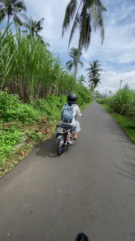 Pingwin e gak gelem alon”🤣#w9style #glw9stayle #walisongostyle🥰🤙 