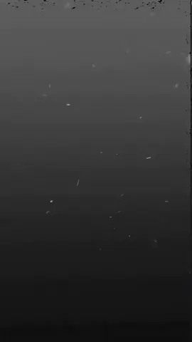 can i get a kiss?💓 new preset🎞️#tritan #preset #alightmotion #fyp #presetdibawah5mb #alight #presetalightmotion #presetxml 