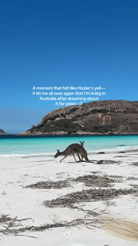 I love my life #traveldiary #livinginaustralia #vanlife #esperance #westernaustralia #travelinspo 