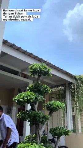 Taman teras rumah minimalis #jasatukangtaman #penatatamanrumah #tukangtaman