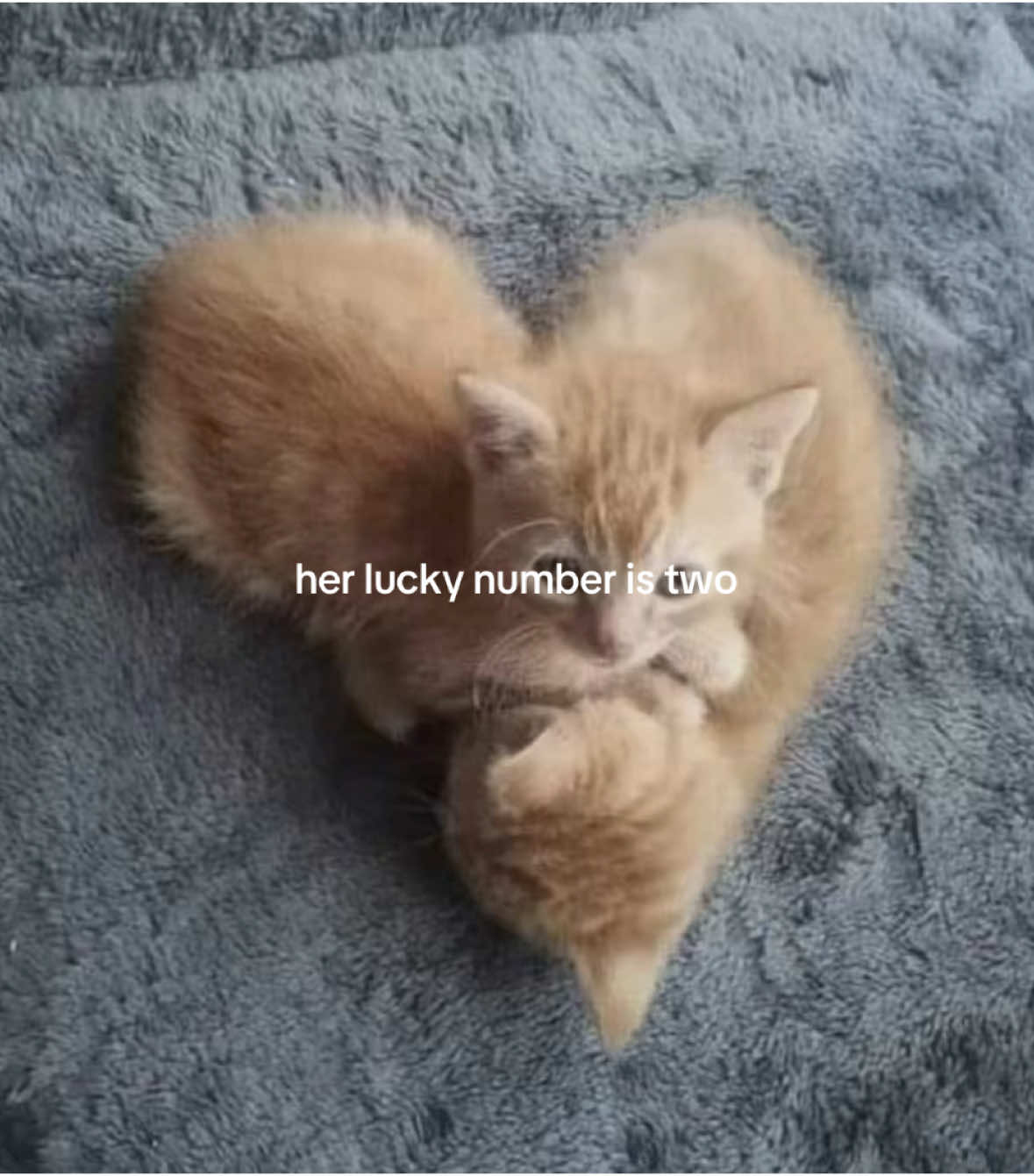 Idk why i love the number 2 sm