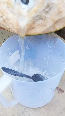 es kelapa muda cocok untuk buka puasa #fypage #kelapamuda #esklamud #menubukapuasa #ramadhan 