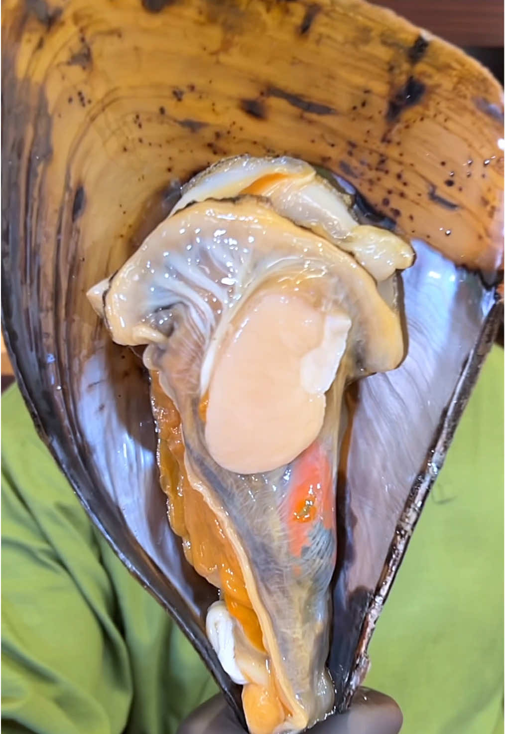 🇯🇵Have you ever eaten this shellfish? 
