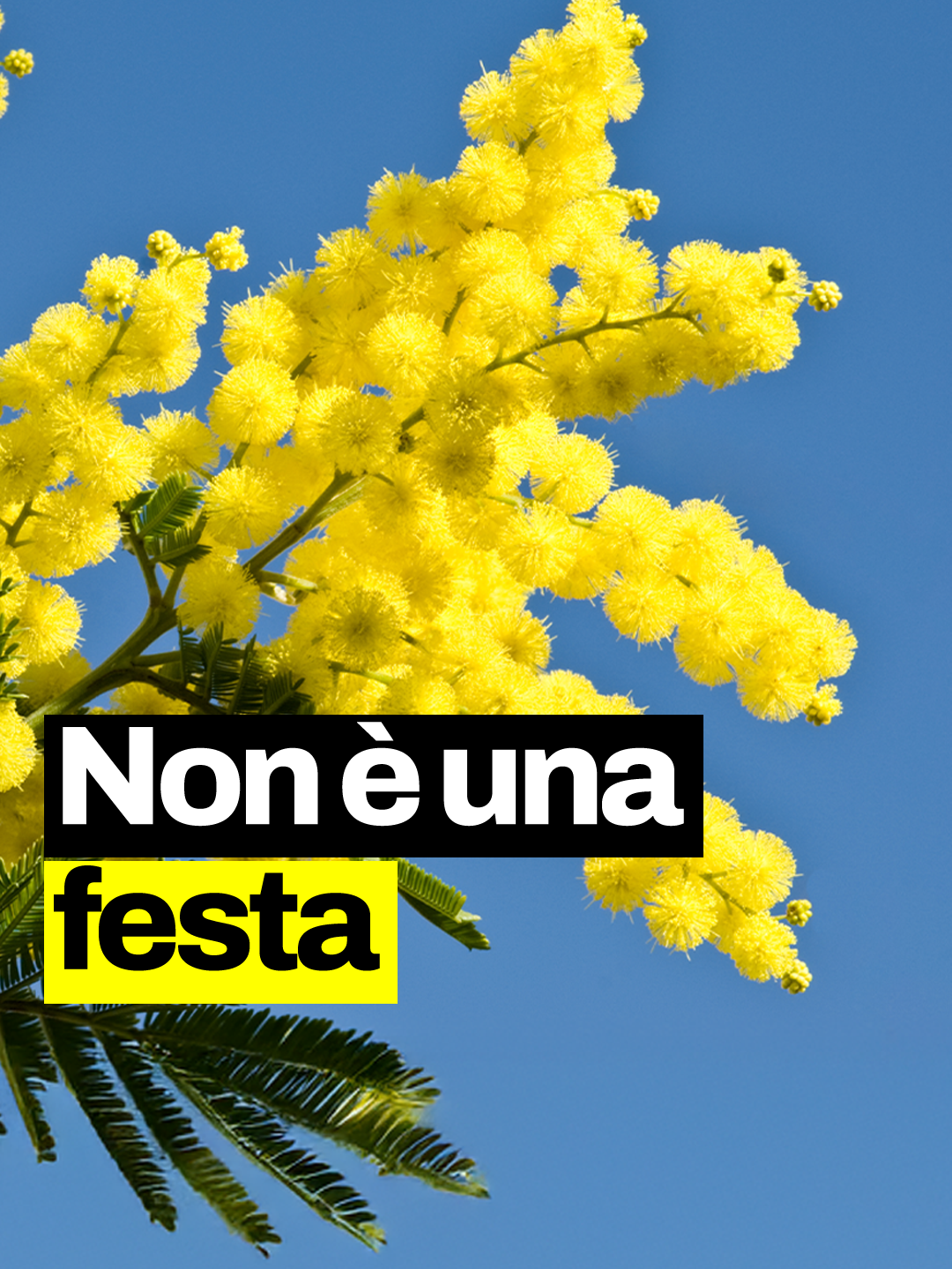L’#8marzo non è la #FestadellaDonna, ma la #GiornataInternazionaledellaDonna .  Questa ricorrenza nacque nel 1909 come momento di rivendicazione dei diritti delle donne e ancora oggi conserva questo significato. Vediamo in questo video la sua storia fino ad oggi. #geopop #scienze #science #dirittidelledonne #losapeviche #geopopit