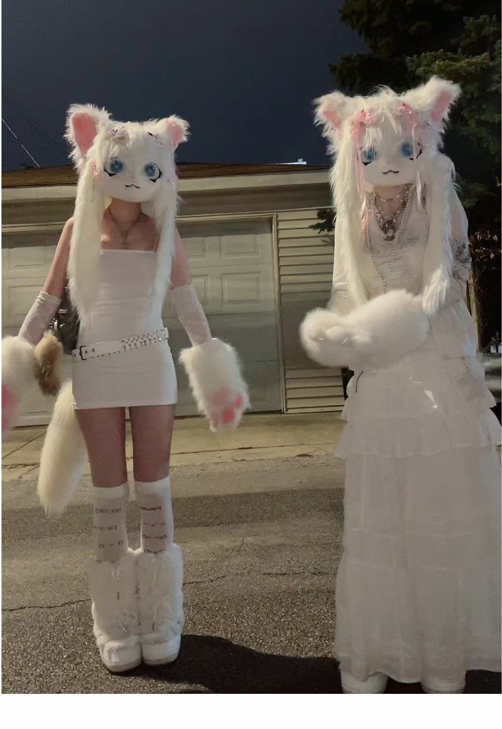 In the tundra ❄️❄️❄️❄️❄️❄️❄️ @derpykitten #swag #fursona 