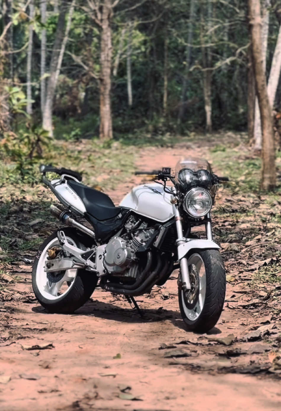 White baby 🤍🫣 #kaveen #viral #trending #onemillionaudition #hornet250lover🐝🥰 #hondahornet250 