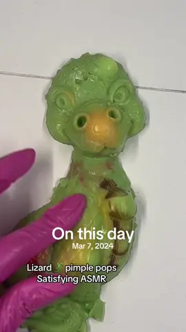 Baby dragon #onthisday #fyp #asmr #satisfying #viral #relax #babydragon 