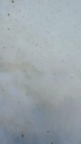 #foryoupage @choudhry wahab Arain @Bilal Marth 7 