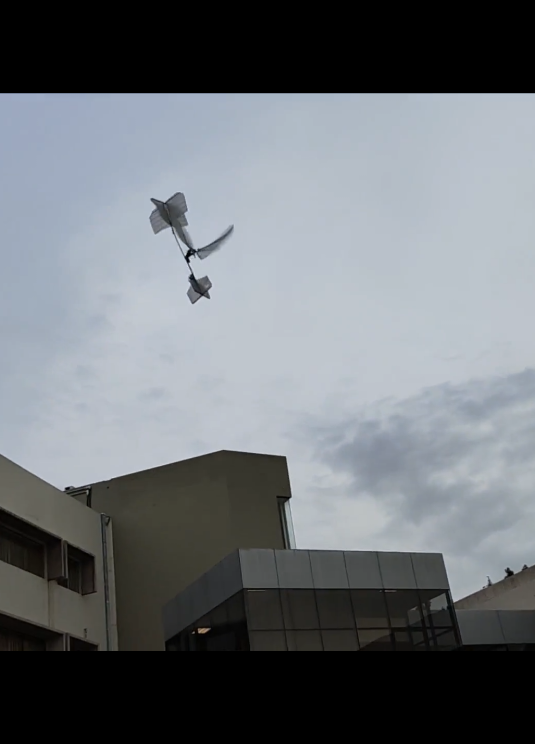 Explorando el vuelo bioinspirado con un robot colibrí. El proceso de diseño y construcción de un microvehículo aéreo sin cola que imita el vuelo estacionario de un colibrí o insecto pequeño volador. 🔹 Vuelo bioinspirado: Control pasivo y estabilidad similar a la de un colibrí real. 🔹 Ultra ligero: Solo 6.5 g, con una sustentación de 85 mN. 🔹 Motor coreless + engranajes: Optimización para máxima eficiencia en el batir de alas. 🔹 Comparación con drones y otros insectos voladores. 🔹 Aplicaciones futuras: Exploración, vigilancia y robótica bioinspirada. 📡 Un puente entre la naturaleza y la ingeniería. ¡No olvides suscribirte para más innovaciones! #RobotColibrí #Bioinspirado #MicroDron #VueloEstacionario #DronBiológico #Robótica #AviaciónFutura #Ingeniería #Electrónica #Innovación #Drones #NatureTech #Biomimética #DIYDrone #Ornitóptero #vuelo #drone #arduino #robot #esp32 #inventions #Ciencia #mecanica #Electrónica #DIY #Ingeniería #picaflor #hummingbird #diyproject 