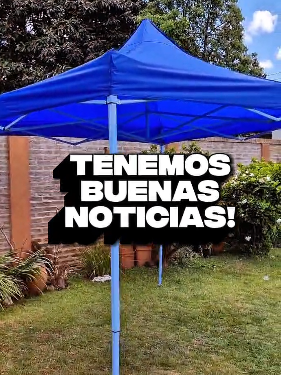 Regresó el producto de la temporada! El gazebo autoarmable que todos quieren en sus parques o para sus eventos! Ahora podes tenerlo en tu comercio o revender a tus clientes! Es el momento! Mira los detalles y escribinos para más información! #gazebo #mayorista #mayoristasargentina #ventapormayor #pormayor #bazarmayorista #revender #comerciantes  #paratiiiiiiiiiiiiiiiiiiiiiiiiiiiiiii 