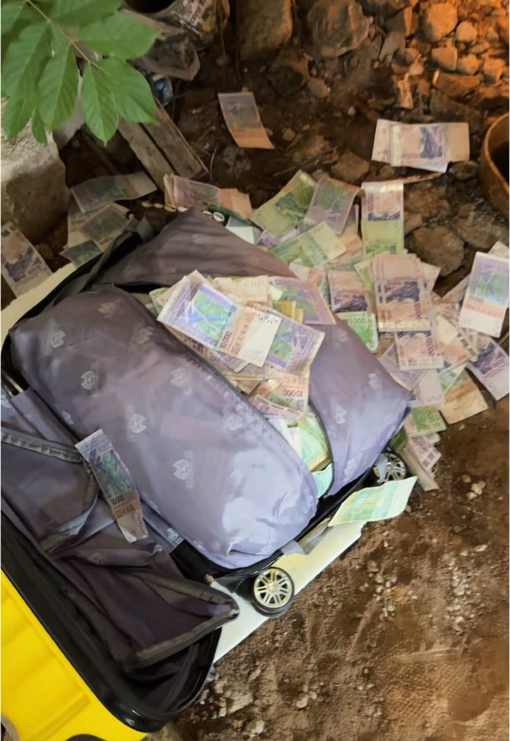 #largent #valise #richesse #multiplicationdargent #marabout #afrique #malitiktok🇲🇱 #senegalaise_tik_tok🇸🇳pourtoichallenge #burkinatiktok🇧🇫 #cotedivoire🇨🇮 #abidjan225🇨🇮 