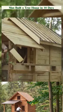 Man Built a Tree House in 30 Days part 24 #cabin #building #offgrid #homestead