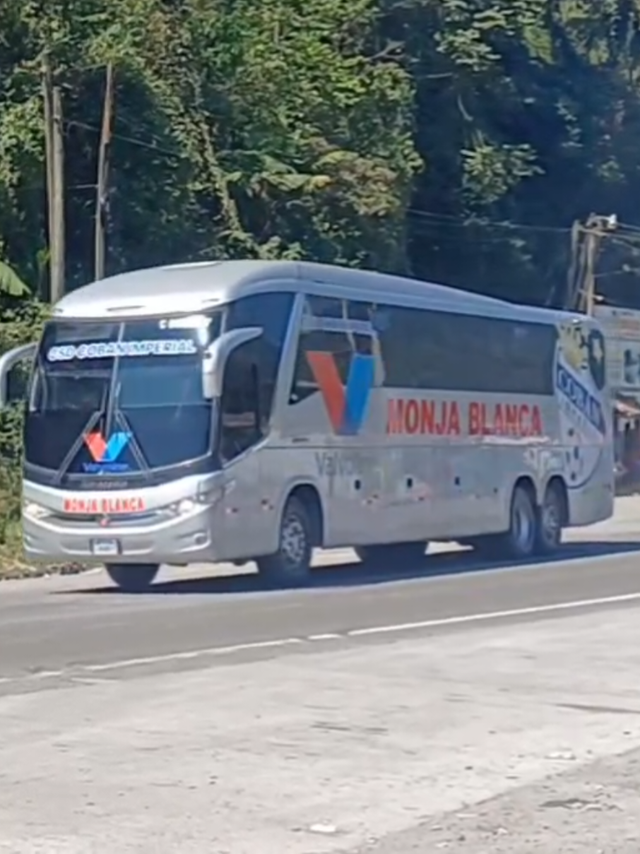 #BuspullmandeGuatemala #TransportesMonjaBlanca #BusEspecial #BusdeGuatemala #Almasgemelas502 #armandomoran58 #garys #TMBUSES 🅶🆄🅰🆃🅴🅼🅰🅻🅰 #grabandobuses #tubus #creatorsearchinsights 