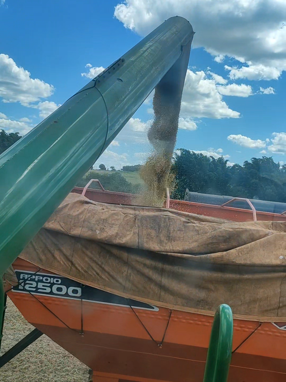 O agro não para 🌱♻️🇧🇷 #agro #johndeere #colheita #soja #brasil #2025 