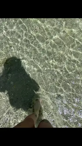 Un poquito de las vacas en Cordoba!! 🥹⛰️🫶🏻 #vacacione #cordoba 