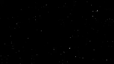 ماليش رايده إلا هو مفيش فايده..😍💘#حالات_واتس #استوريهات #حب #اغاني #حسن_شاكوش #واتساب #مهرجنات #fypシ゚ #viral_video #foryoupage #song 