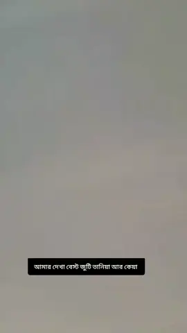 আল্লাহ দেখা বেস্ট জুটি 