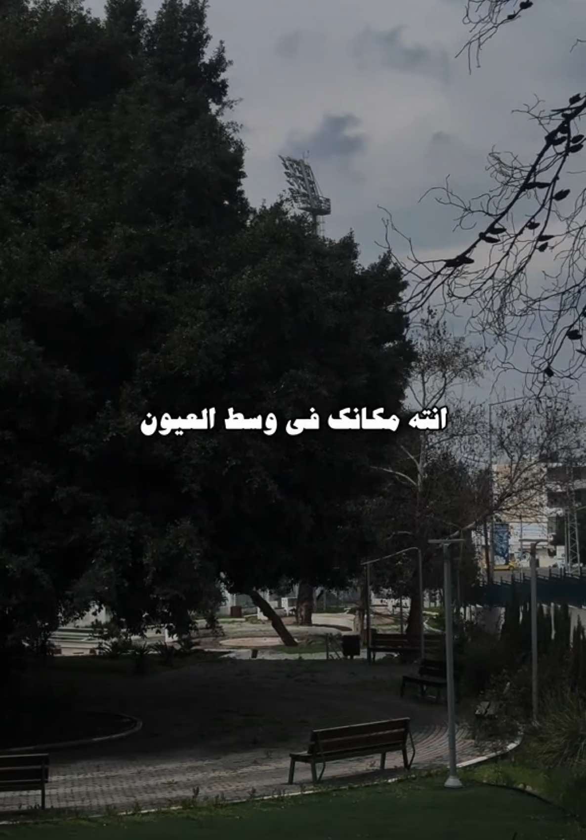انته مكانك في وسط العيون♥️#تصاميم_صلوح🧑‍🦯 #fyp ##نادر_الشراري 