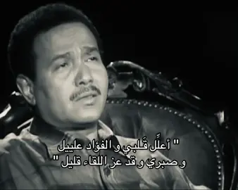 #fyp #fypシ゚ #محمد_عبده #foryou 