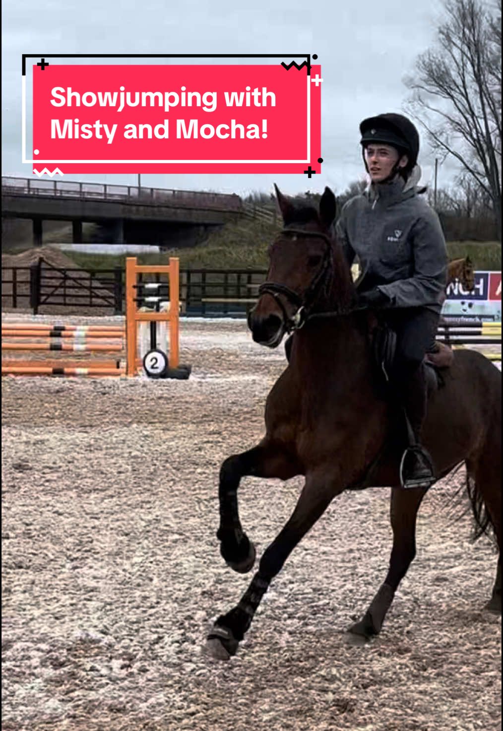 Molly and Mocha get competitive? 🤭 #equine #equestrian #horsetok #horsesoftiktok #equestrianvibes #horsebackriding #horsegirl #foryou #fyp #abcxyz 
