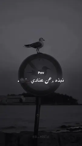 نبذه عن عنادي 🦦 #رَموش #تصاميم_رَموش #بدون_موسيقى #فديوهاتي_بمثلونيش #تصميمي #اكسبلور #فيديو_ستار #fypシ #videostar #foryoupage 