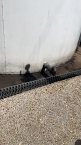 #tankeryanker #tankers 