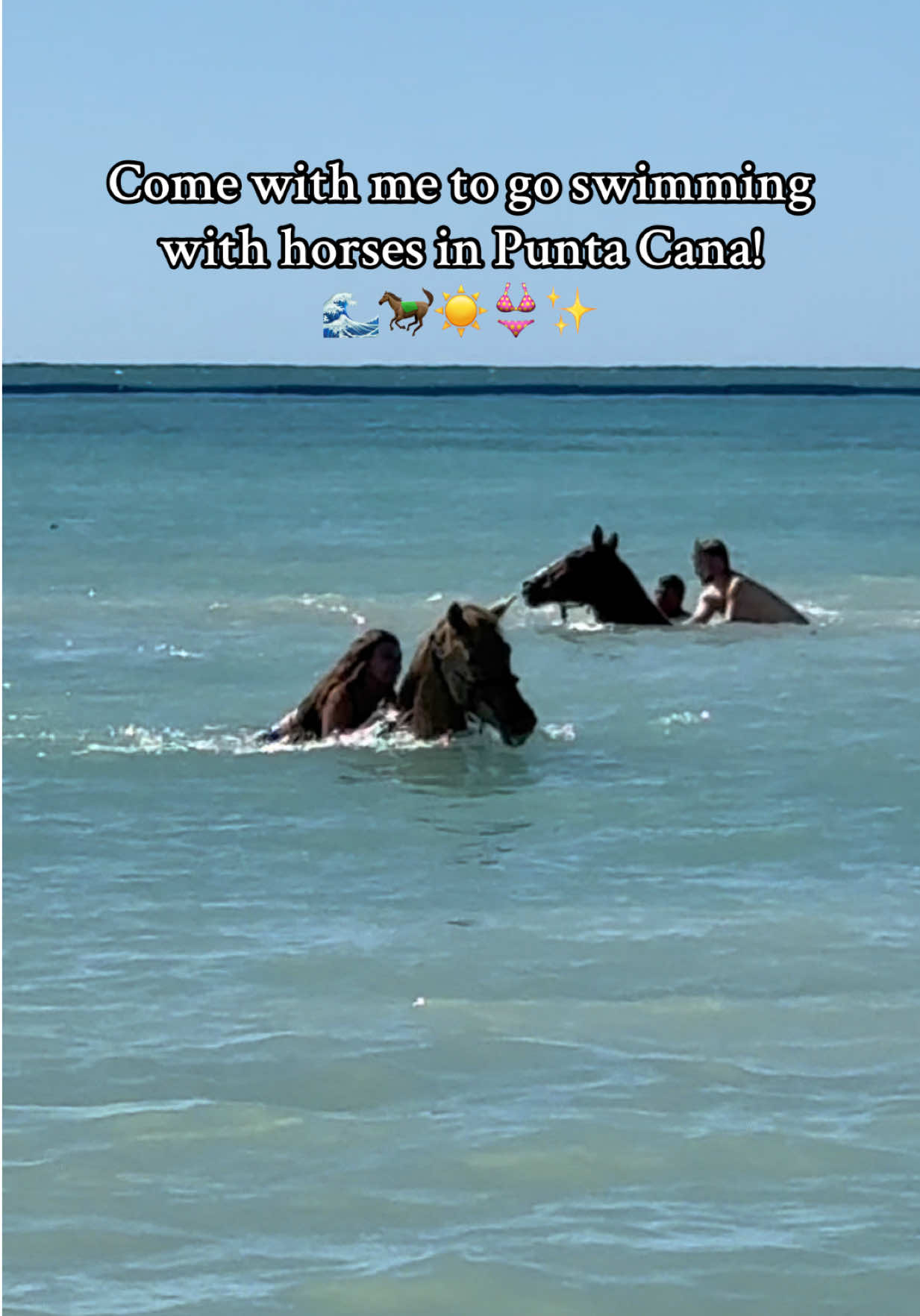 Swimming with horses was so much fun and I’m so so glad I got to experience this! #puntacana #puntacanaexcursion #horses #horsebackriding #ocean #swimmingwithhorses #bucketlist #bucketlisttravel #dominicanrepublic 