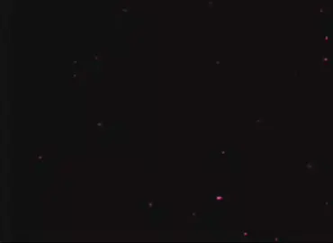 كل حاجه فيكي حلوه ❤️😉