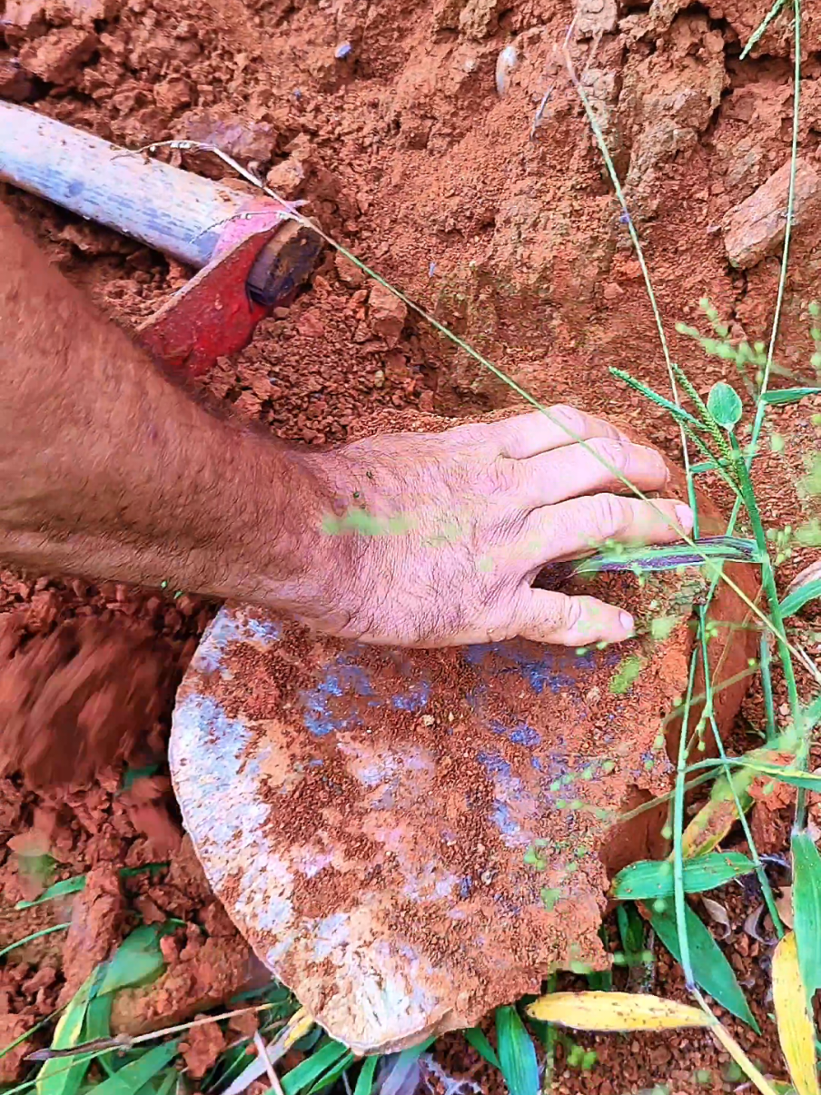 um grande cristal na beira da estrada #naturezaperfeita #cristais #pedrasnaturais #agata #PedrasPreciosas 