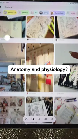 Studytok #anatomy #studytok #anatomyclass #studytipsforstudents #feynmantechnique #feynman #nursingschool #and #nursingschool #appforstudents #studysmarter #studyingtips #studying #StudyTips #academicweapon #studysmarternotharder #anatomyandphysiology #notetaker #biology #notetaker 
