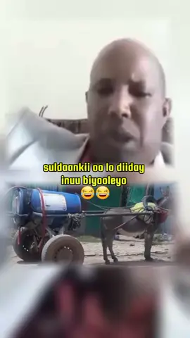 #jigjiga_somali_galbeed #ethiopian_tik_tok🇪🇹🇪🇹🇪🇹🇪🇹 #goday #fiiq #wardheer #jarar #dhagaxbuur #jarar #qabridahar #diredawa #diredawagirl👸🦋🧡 #ogadenia #ogadeniaboy🇬🇲 #dhalinta_maanta🇸🇴 #somaligalbeed🇬🇶❤️✅ #mmtv #somalitiktok #ciyaalxamar #muqdisho #hargaysa_somaliland #bosaso__weye🇸🇱🇺🇿🥰 @Ade-ka-ade @Ade-ka-ade @Ade-ka-ade 