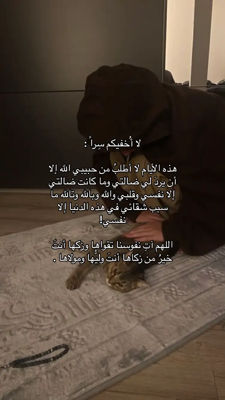 #يارب❤️ #fypシ゚ #explore #quran #fypdongggggggg 