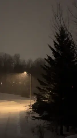 draft #snow #winter #cold #sad #happy #peaceful #nights #snowfall #real #repost #fyp #viral #vibes