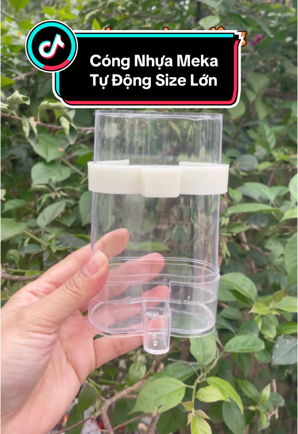 Cóng nhựa meka tự động số 1 size đại dành cho nhiều loại chim cảnh #xuhuong #tiktokviral #khanhmyphukienchimcanh #congnhuatudong #congmekanhua #congnhuadungthucanchimcanh #phukienchimcanh 