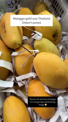 Toko Buah Segar Medan Jalan marelan v (pasar 2 barat)  Operasional 8am-10pm  Buka setiap hari  G-Maps : buah segar medan rengas pulau Patokan : masuk jalan Marelan v / pasar 2 barat , toko di sebelah kanan deretan sekolah Al huda  Toko Buah Segar Medan 2 Operasional 10am-10pm Buka setiap hari  Jl Sunggal Sei sikambing B  G-Maps : buah segar medan Sunggal Patokan : dari arah Sunggal/titibobrok/kaswari/seibatang hari . Toko ada di sebelah kiri, pas di sebelah jembatan  Dari arah simpang siskambing, toko ada kanan, deretan rumah makan Sipirok  Info lebih lanjut  * Untuk cek harga dan pesan antar silahkan hubungi salah satu nomor Wa admin kami dibawah ini : Admin 1 : 082276815996 Admin 2 : 082170597868 Penawaran barang : 087799947876 Belanja Buah Mudah Diantar Sampai Rumah  * Bayar di tempat  * ⁠Bergaransi  * ⁠Free ongkir