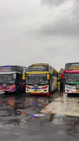 apt apt thailand emang secanduu ituu🤩🤩 #rahmanursyifa #puterautama #basuri #trend #busmaniaindonesia #fypシ 