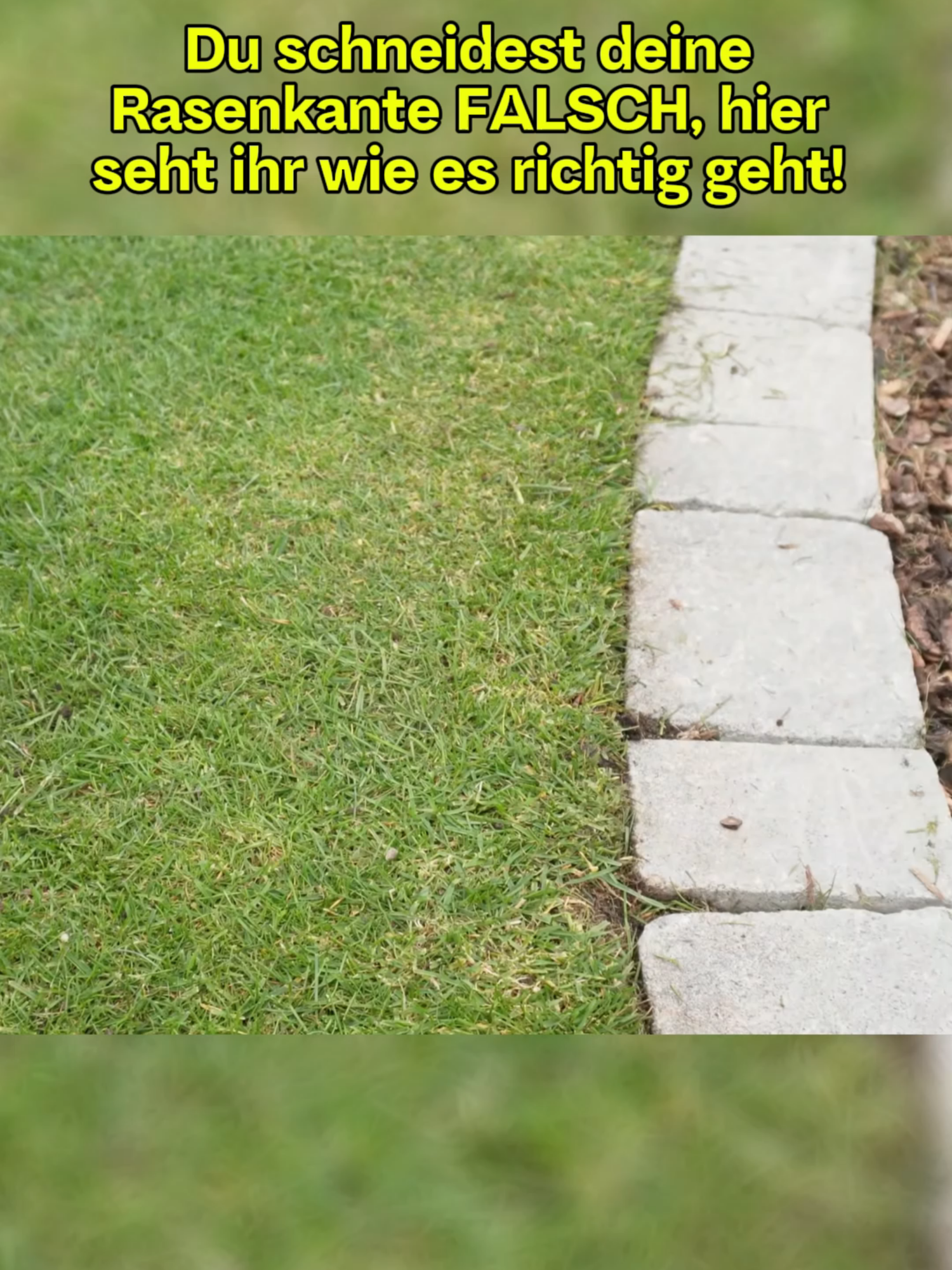 Du schneidest deine Rasenkante FALSCH, hier seht ihr wie es richtig geht! #rasengan#rasenkante #mähkante #rasenmähen #gartenwerkzeug #garten  #shorts #real #pflege #kante #rasenkante #mähkante #rasen#liebe#beauty#fyp#viral_video