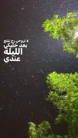 #مطر #ليل #شجر #ورد #رمضان #كربلاء #ليل #اكسبلور #لايك #متابعه #حزن #الشعب_الصيني_ماله_حل😂😂 #fyp #فراق #العراق #عبارات #شعر 