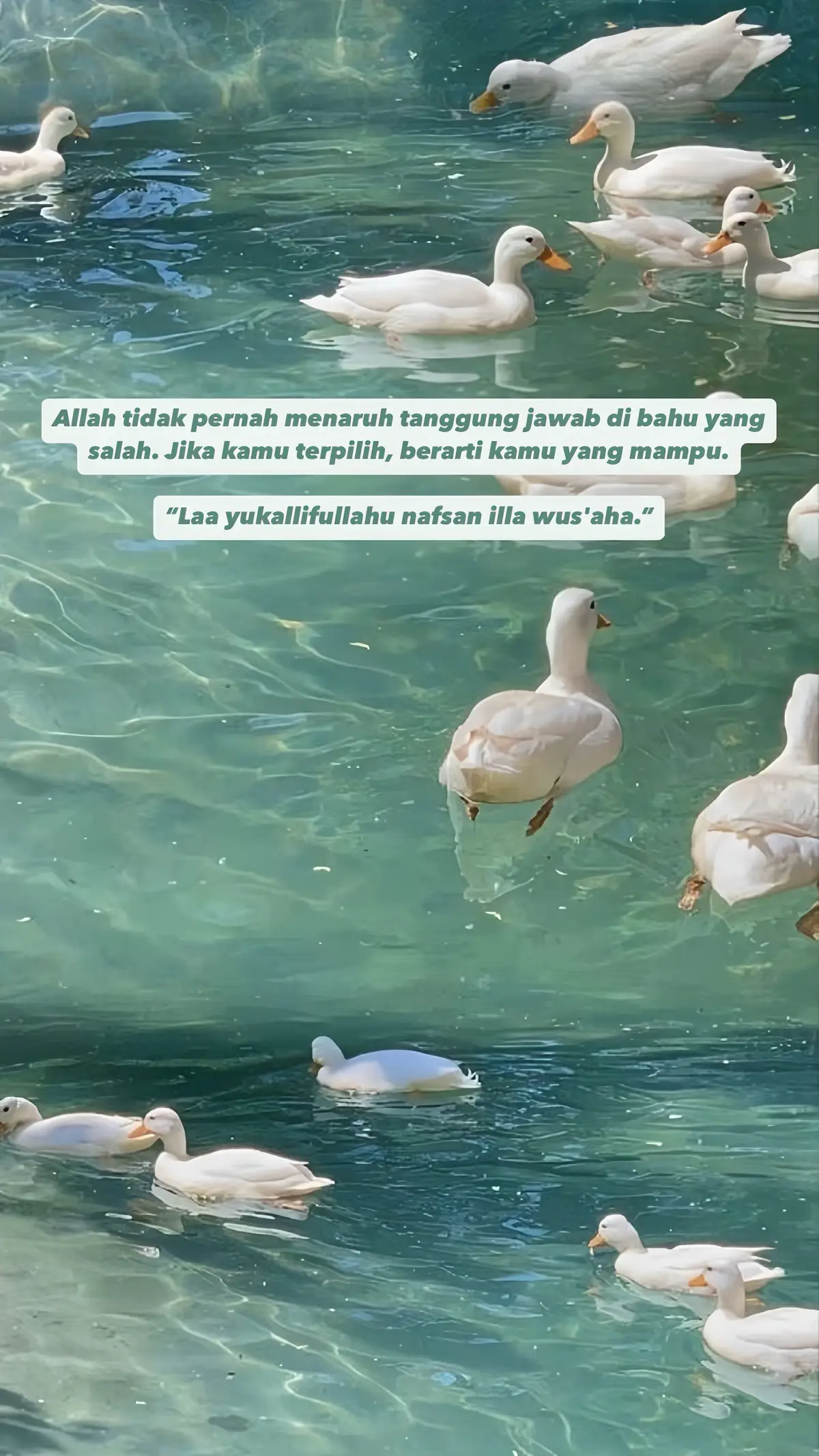 #quotes #quotestory #quotesaesthetic #quotesoftheday #quotesislam #quotesislami #quotesislamic #sad #sadstory #sadvibes #sadsong #sadboy #sadgirl #sadness #katakata #katakatamotivasi #katakatabijak #katakatamutiara #katakatastorywa_ #katakatasad #galau #galaubrutal #galaustory #galauquotes #galauvibes #galaugajelas #selfreminder #reminder #remindertomyself #reminders #reminderquotes #reminderforyou #reminderself #fyp #fypage #fypdong #fypgakni #fypツ #foryoupage #trend #viral #trending #viralvideo #trendingvideo #viraltiktok #trendingsong #viralvideotiktok #trendingtiktok