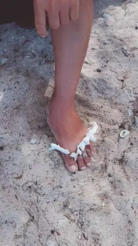 Nouvelle ref ? 🤣 #claquette #airpods #hair #coraux #plage #974 #reunion #ref #colo #vacances #fpy #pourtoi #rire #drole #humour  #tiktok #voix 