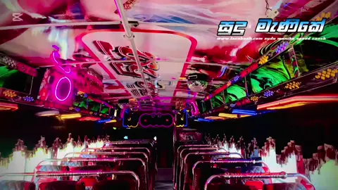 #_සුදු_මැණිකේ__Speed_coach #modifybus #foryoupage #mawanella #charu_tranport_service 