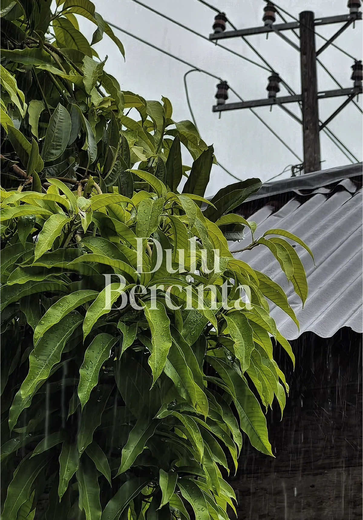 #CapCut dulu bercinta #fypシ #4k #slowmo #liriklagu #malaysia 