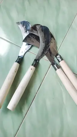 Arit Babatnya nihh, siapa yg belum punya#semua #fyp #pertanianindonesia #