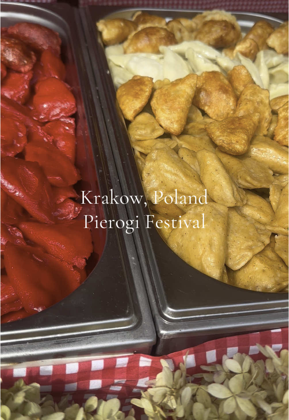 A foodies dream 🥟💭 #Foodie #festival #pierogifestival #krakow #poland #travel #pov 
